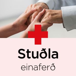 Stuðla einaferð